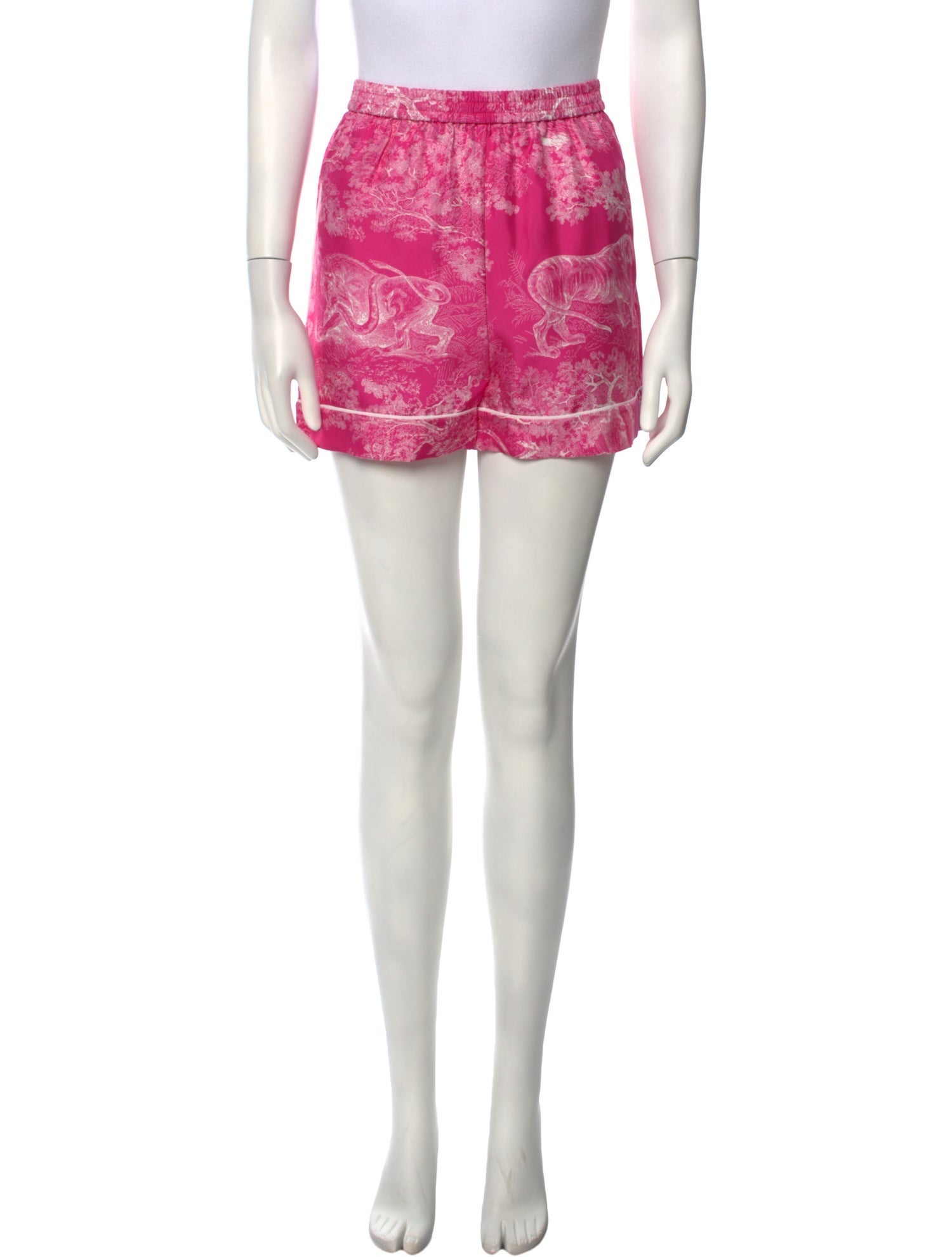 Christian Dior 2022 Mini Shorts