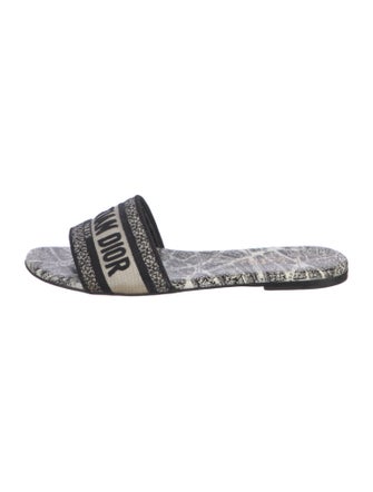 Christian Dior Canvas Printed Slides