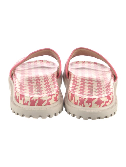 Christian Dior Canvas Printed Slides