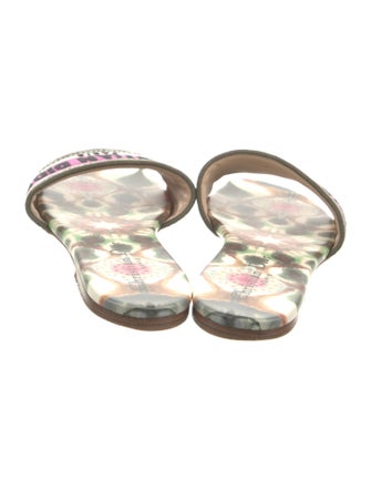 Christian Dior Canvas Printed Slides