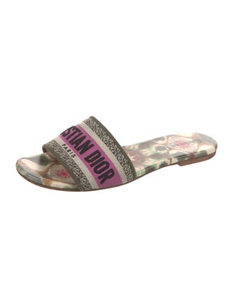 Christian Dior Printed Embroidered Accent Slides