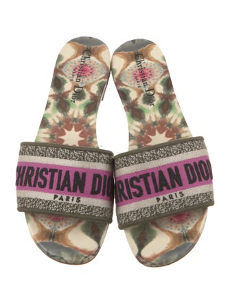 Christian Dior Printed Embroidered Accent Slides