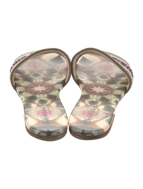 Christian Dior Printed Embroidered Accent Slides