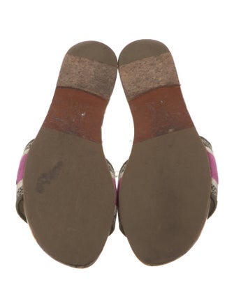 Christian Dior Printed Embroidered Accent Slides