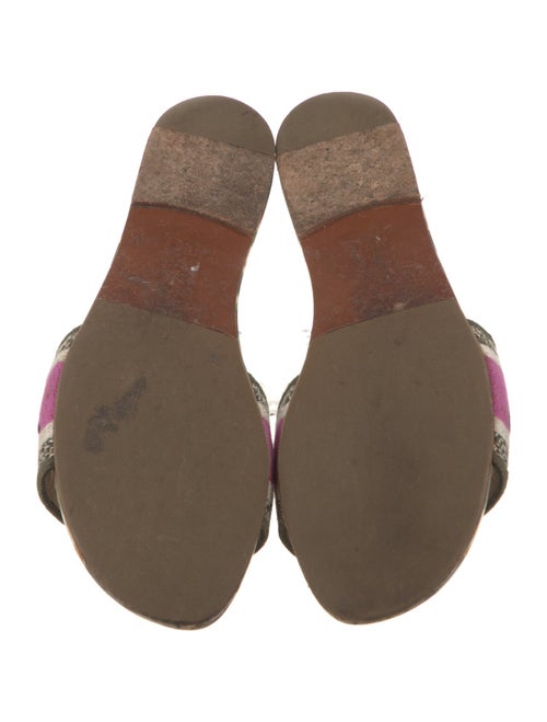 Christian Dior Printed Embroidered Accent Slides