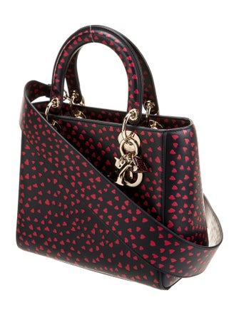 Christian Dior Leather Top Handle Bag