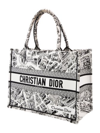 Christian Dior Canvas Book Medium 2023