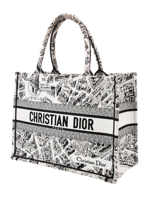 Christian Dior Canvas Book Medium 2023