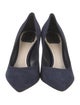 Christian Dior Suede Pumps