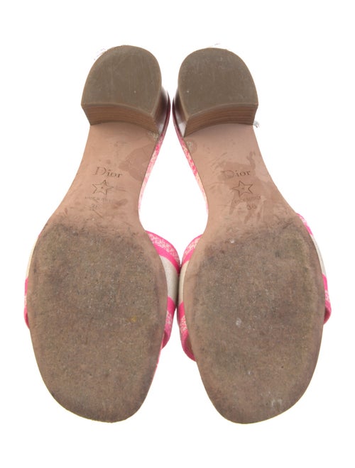 Christian Dior Canvas Printed Slides