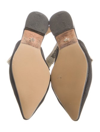 Christian Dior Printed Slingback Flats