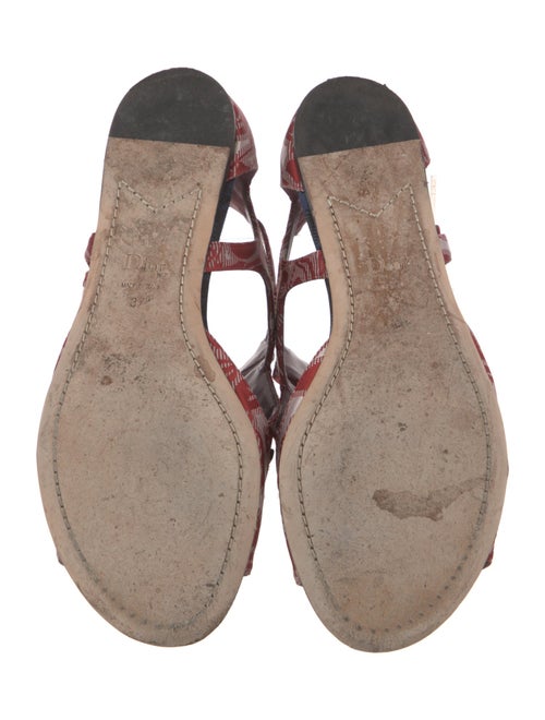 Christian Dior Printed Flats