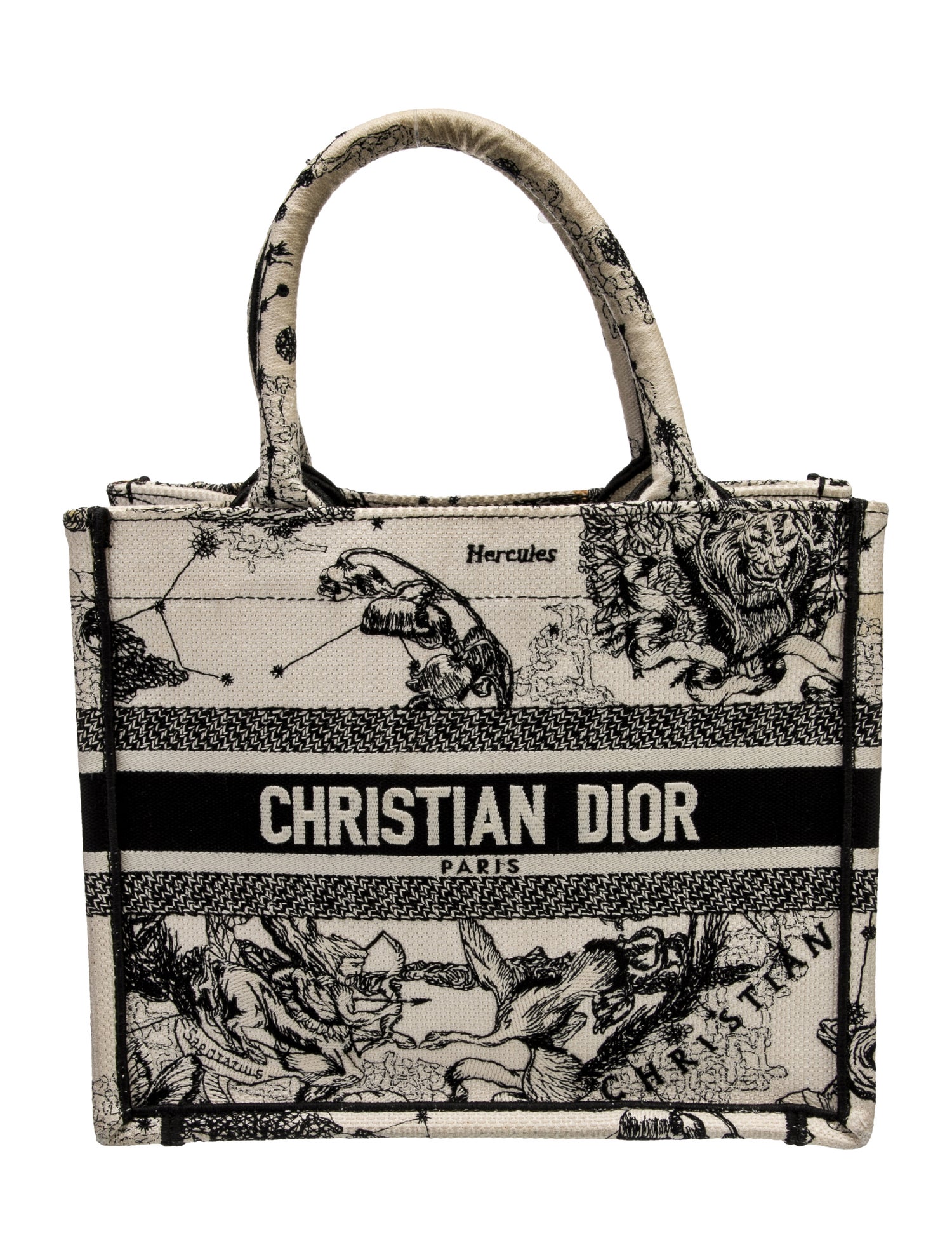 Christian Dior Canvas Book Small 2022