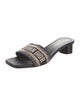 Christian Dior Canvas Printed Slides