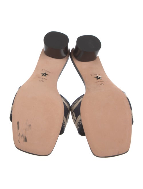 Christian Dior Canvas Printed Slides