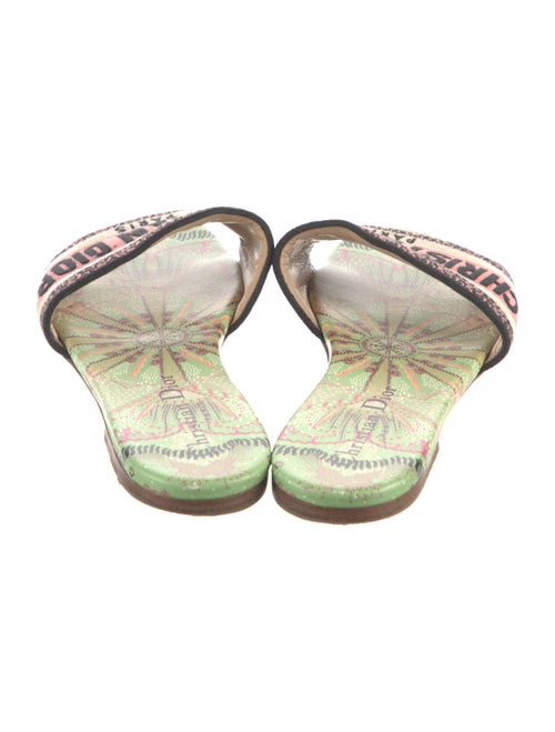 Christian Dior Canvas Printed Slides
