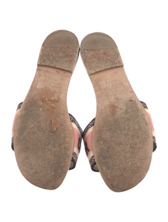 Christian Dior Canvas Printed Slides