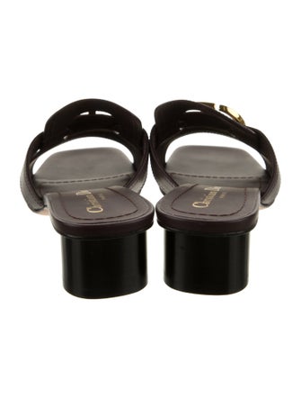 Christian Dior Leather Slides