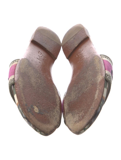 Christian Dior Canvas Printed Slides