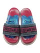 Christian Dior Canvas Printed Slides
