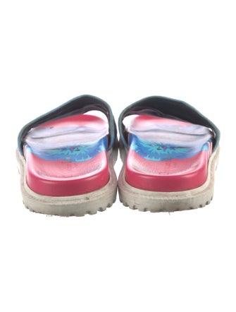 Christian Dior Canvas Printed Slides