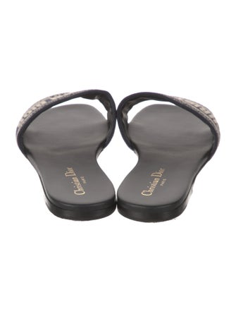 Christian Dior Canvas Printed Slides