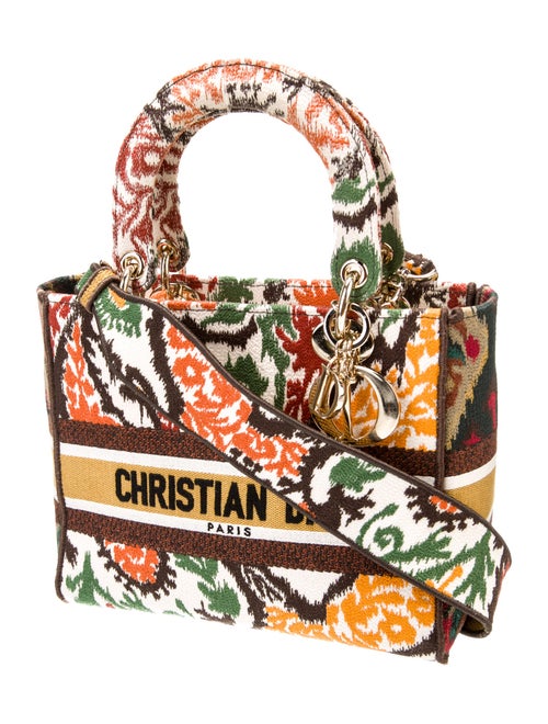 Christian Dior Canvas D-Lite