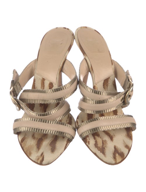 Christian Dior Canvas Printed Slides