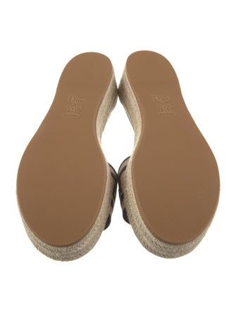 Christian Dior Raffia Printed Espadrilles