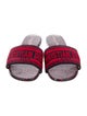 Christian Dior Printed Embroidered Accent Slides