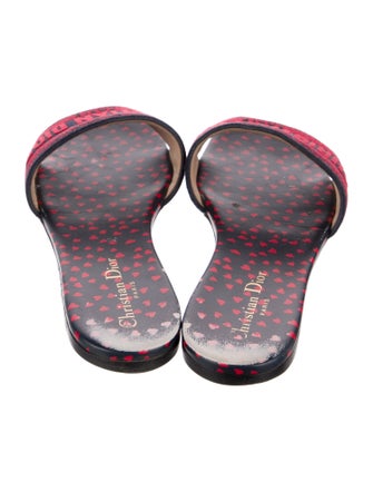 Christian Dior Printed Embroidered Accent Slides