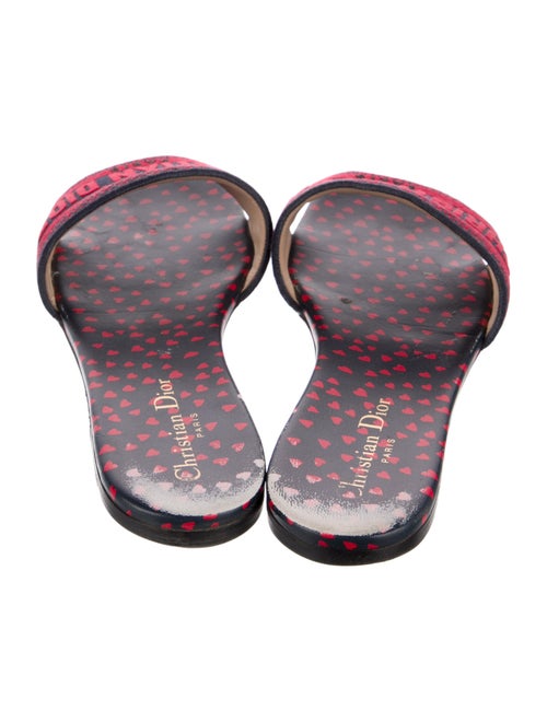 Christian Dior Printed Embroidered Accent Slides