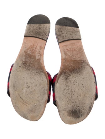 Christian Dior Printed Embroidered Accent Slides