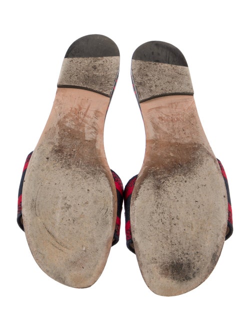 Christian Dior Printed Embroidered Accent Slides
