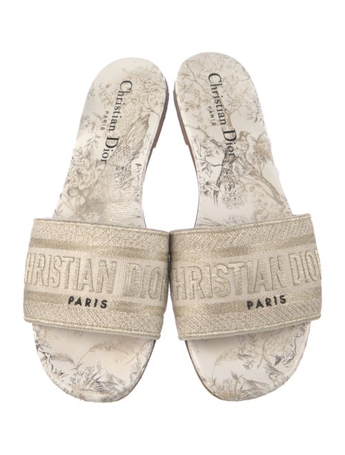 Christian Dior Canvas Printed Slides