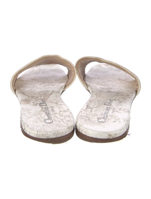 Christian Dior Canvas Printed Slides