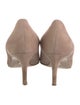 Christian Dior Suede Pumps