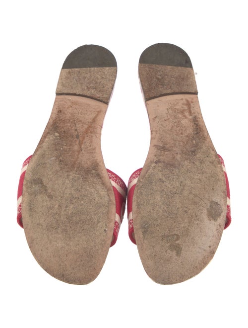 Christian Dior Canvas Printed Slides