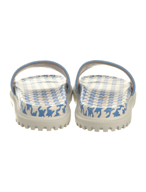 Christian Dior Printed Slides
