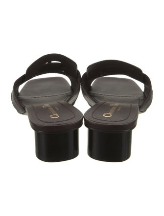 Christian Dior Leather Slides