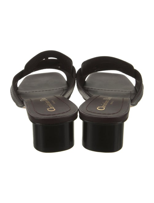 Christian Dior Leather Slides
