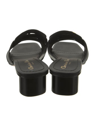 Christian Dior Leather Slides