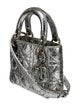 Christian Dior Leather Lady Dior Mini