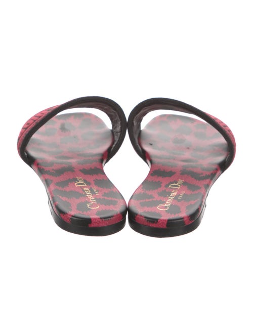 Christian Dior Canvas Printed Slides