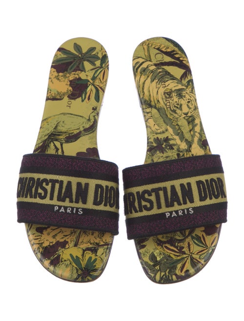 Christian Dior Canvas Printed Slides