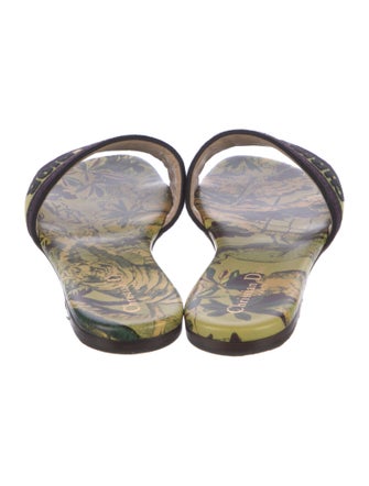 Christian Dior Canvas Printed Slides