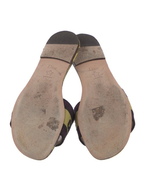 Christian Dior Canvas Printed Slides