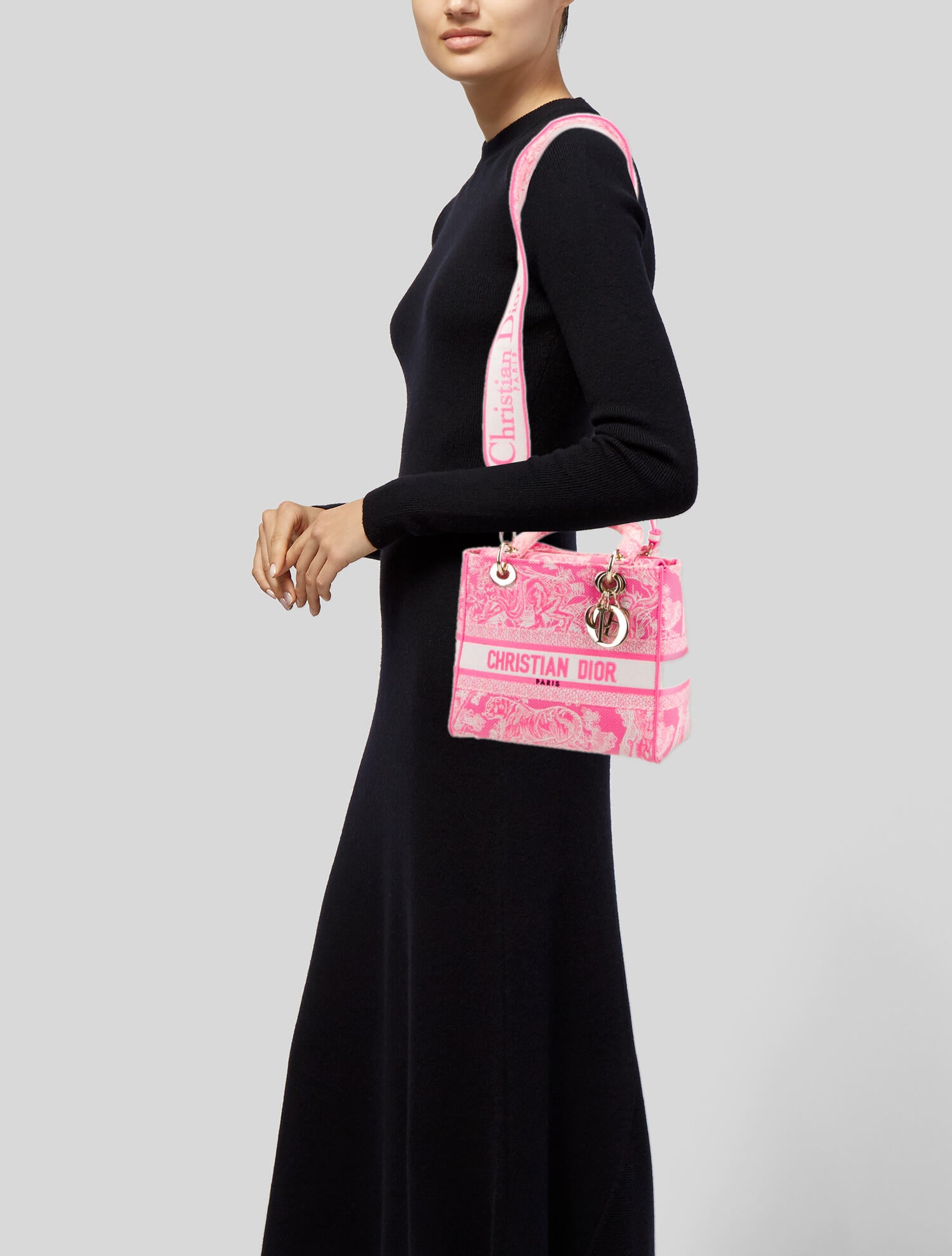 Christian Dior Oblique Jacquard D-Lite Medium 2022