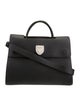 Christian Dior Leather Diorever