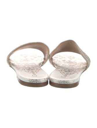 Christian Dior Canvas Printed Slides